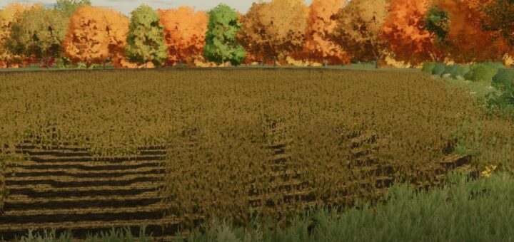 Row Crop - FS22 | Farming Simulator 22 Row Crop Mods